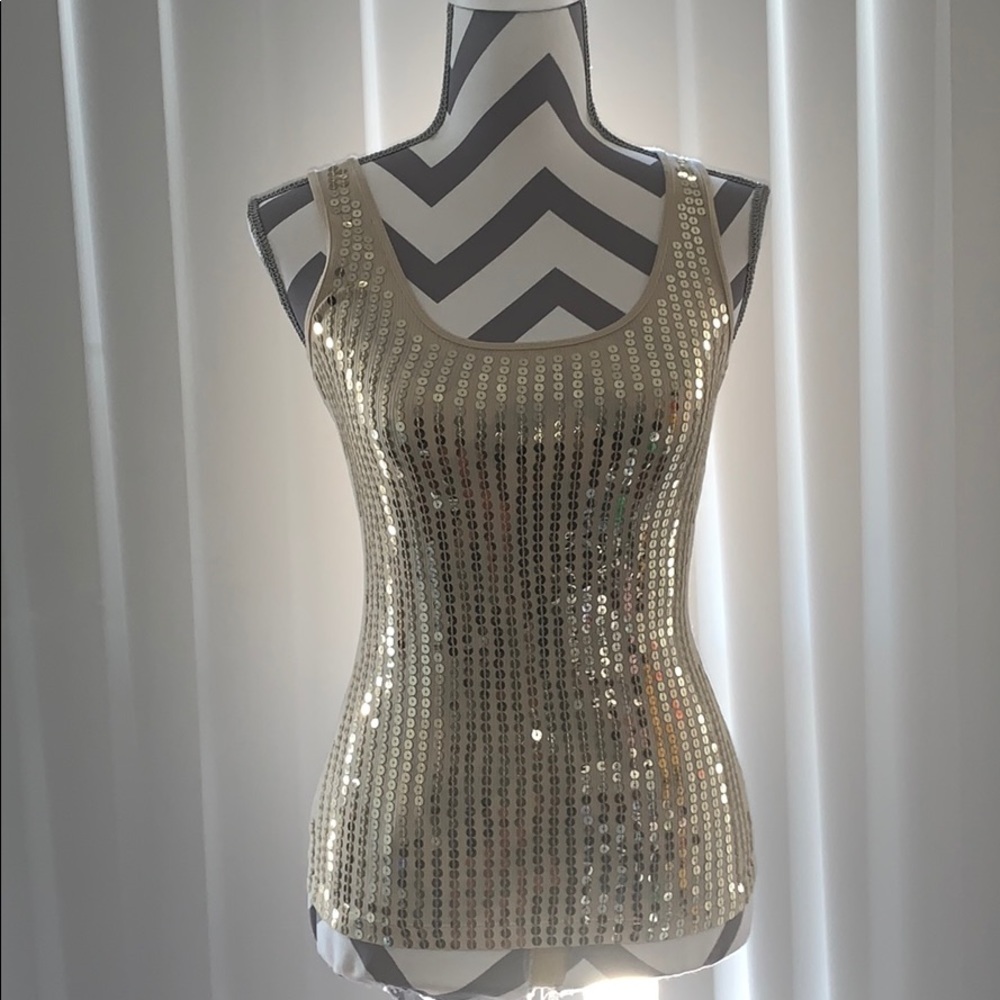 Glittered Tank Top By Express
